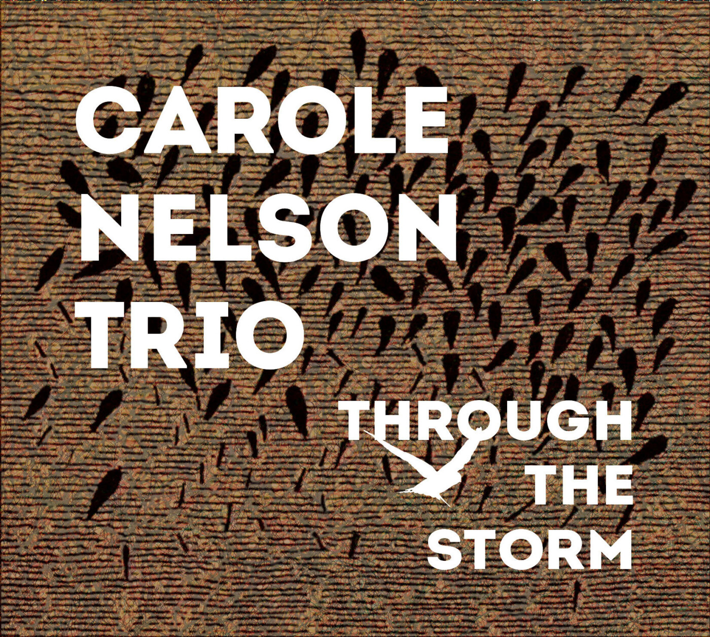 Carole Nelson Trio to Release Through the Storm on Livia Records