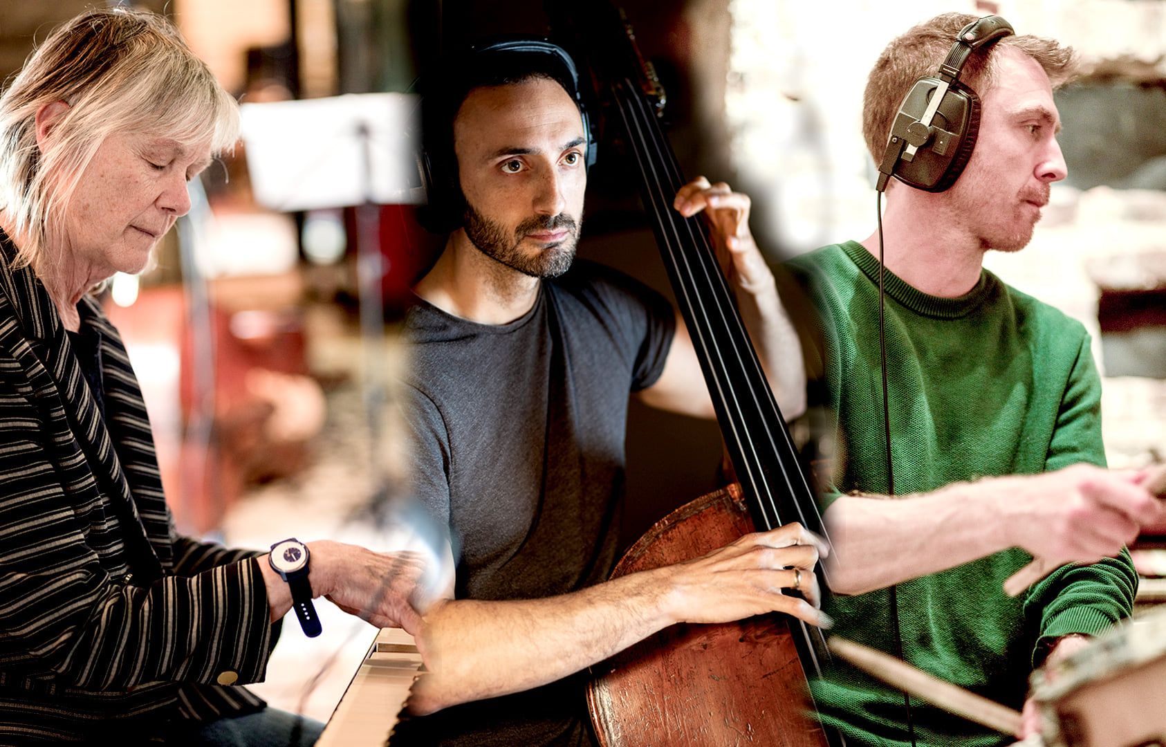 Arboreal Tour Announced - Carole Nelson Trio