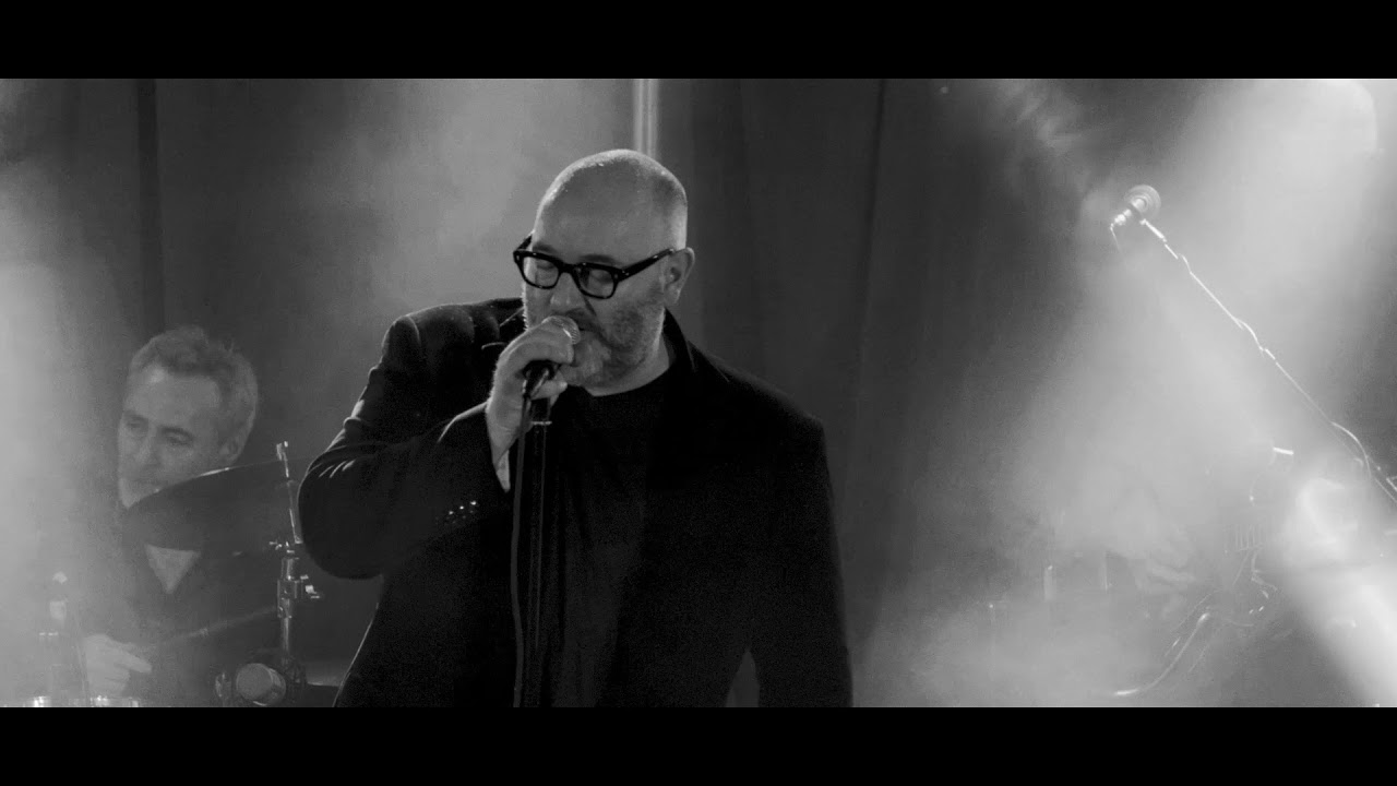 Jimmy's Cousin - I'll Never Love Again - Official Music Video